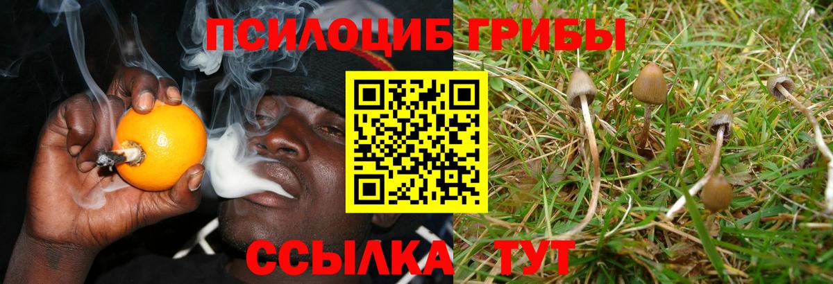 Псилоцибиновые грибы ЛСД  Псилоцибиновые грибы Psilocybine cubensis  Кудрово  Вход с VPN 
