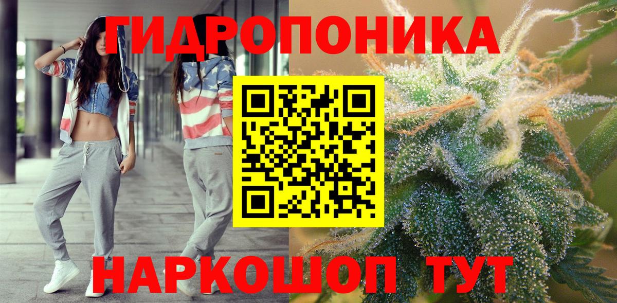Бошки Шишки Amnesia Кудрово
